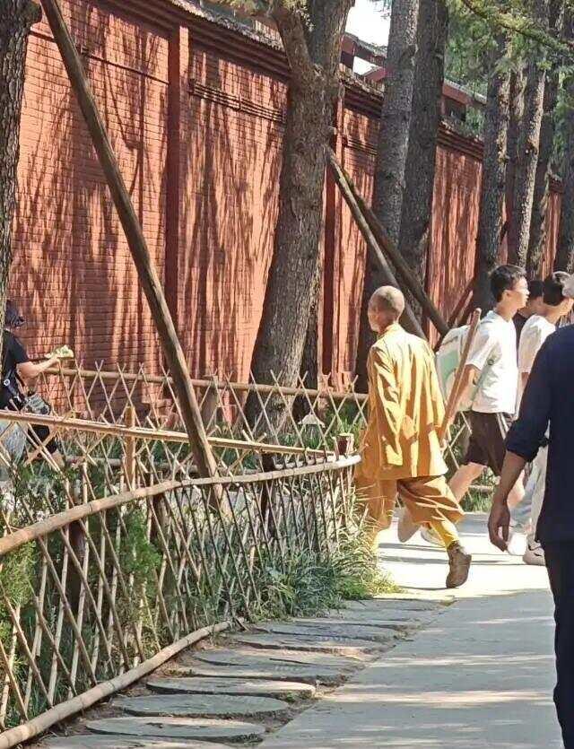 洛阳白马寺僧人顶着38度高温种地