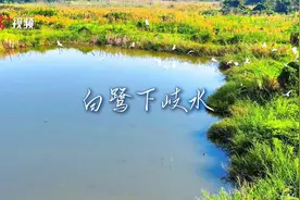 南方观察｜中山：以绿水青山，迎接“大桥时代”图片
