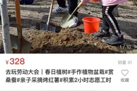 中小学生志愿服务时长竟能花钱买？还真能买到，而且不便宜图片