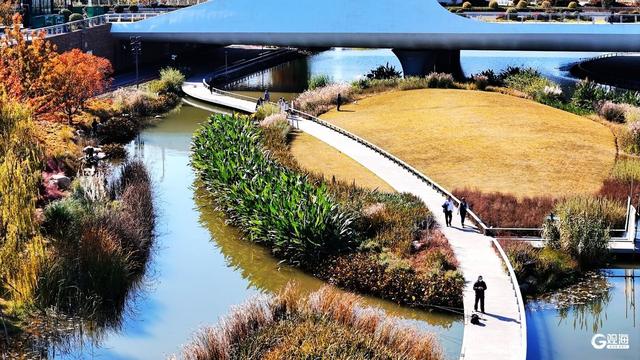 青岛人家门口的“生态园”：一河秋景，满园生机