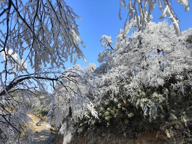 多地下雪！广西限定版“冰雪世界”已上线
