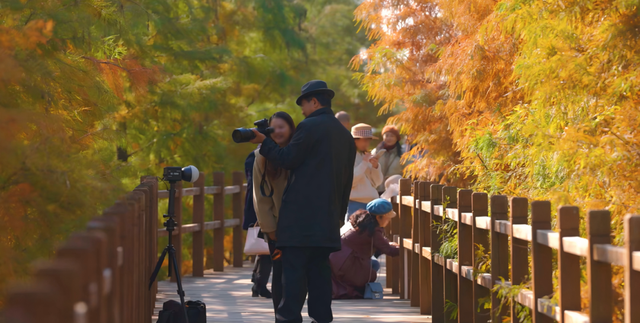 超美超出片！荆门这些宝藏地，附详细打卡攻略