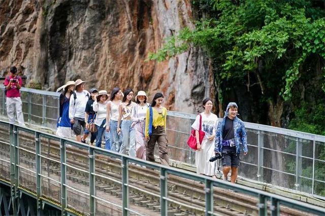 旅居红河 村长有请 | 康养秘境·森息苗韵，来屏边一起“森呼吸”