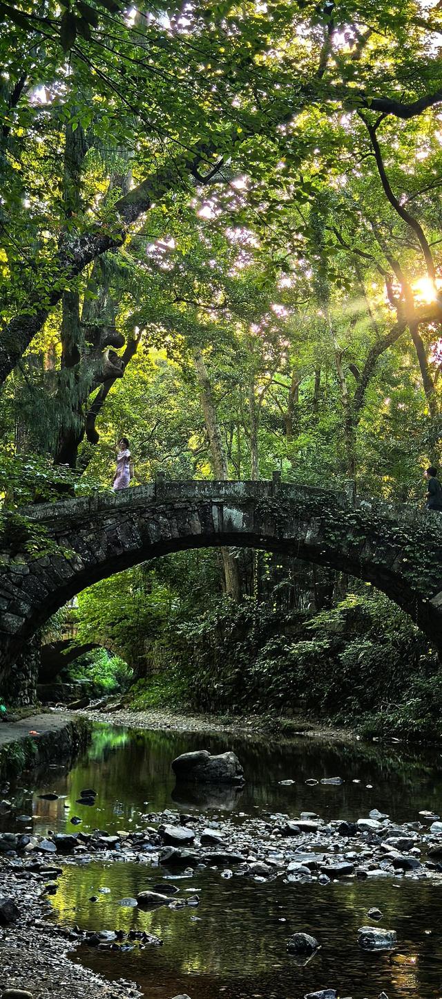 晚潮｜云散日朗，俱有喜态——天台山寻幽访圣之旅