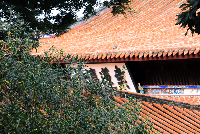 破案了！西街飘散的香味，源头竟然在开元寺