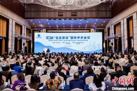中新教育｜“安吉游戏”如何走向世界？多国专家以对话谋共识图片