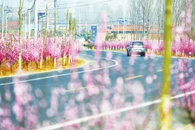 胶州：建设123个青岛市级和美乡村项目 让乡村“颜值”与“价值”齐飞图片