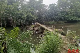 汨罗白水镇：聚焦河道保洁 旧貌换新颜图片