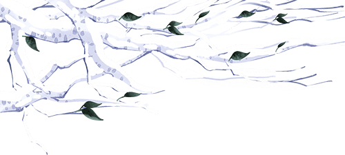 飞雪沐泉 乐享白山｜好消息！白山冰雪汇即将正式启幕！