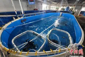 水产专家研讨养殖业“上岸”“下海”新方向图片