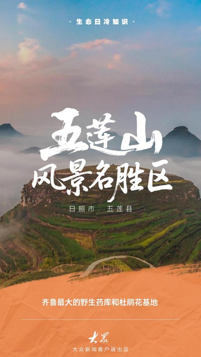 探访齐鲁大地的绿色“角落”：看看家门口的小惊喜