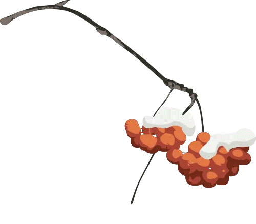 立冬赴吉安！武功山、羊狮慕云海正翻涌成冬日仙境