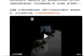 小家伙真棒！中华田园犬大战2米多长眼镜王蛇保护110图片