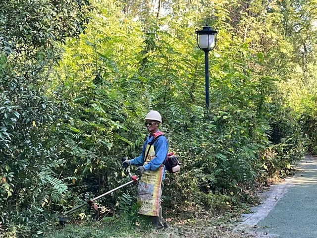 贵溪：几度秋意浓 满城桂花香！