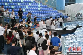 广州海洋馆焕新升级 开门迎客图片