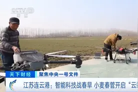 一部手机就能掌握育苗情况 “指尖上的春管”尽显农业高质量发展图片