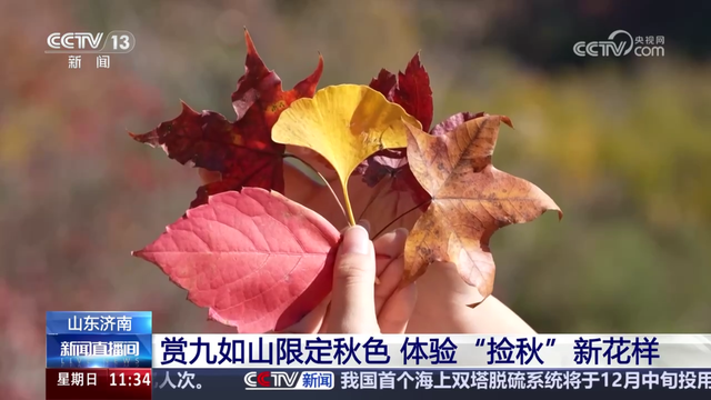 央视镜头一年四季都在打卡的九如山，到底有多大的吸引力?