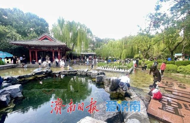 一年四季 泉在济南丨假日尾声 济南“泉水游”热度不减