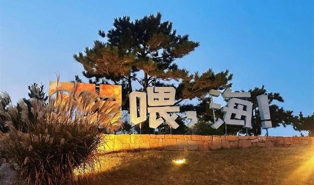 威海市环翠区：冬日“趣”看海 浪漫不打烊