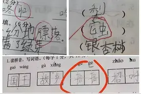 开学季，字经常写反、记不住课文，你家孩子有没有这些问题？图片