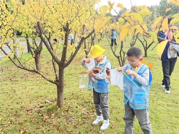 安庆科技馆举办“秋日叶语·常青与落叶的生态密码”自然探索课堂