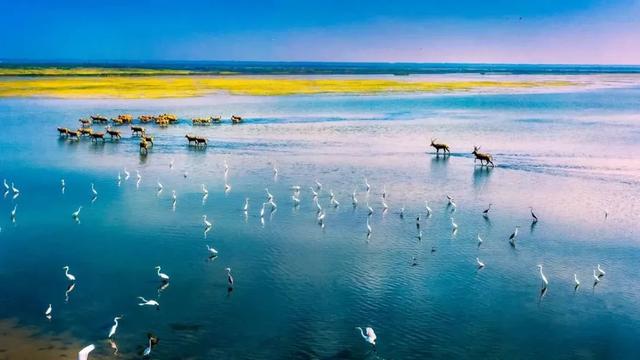 东台有啥骄傲的？