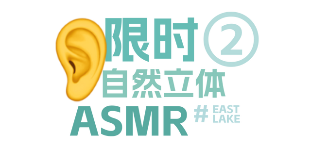 来东湖追鸥，这份私藏待办清单，请收好！