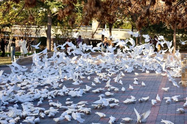 别再问周末去哪了！郑州这些宝藏公园不可错过→