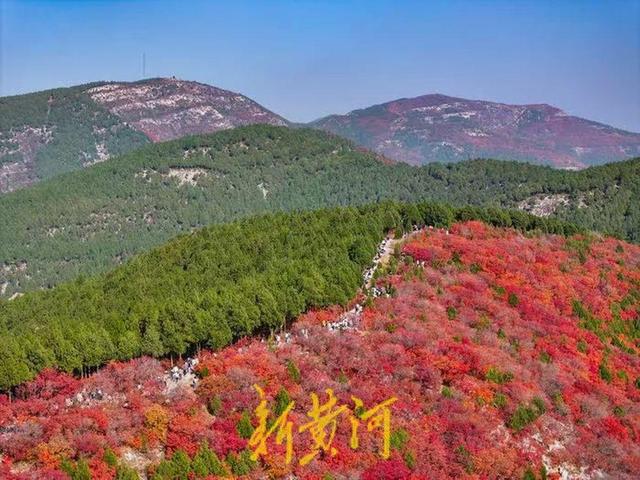 半山苍翠半山红！济南“鸳鸯火锅”惊艳上线 | 新黄河AI音乐