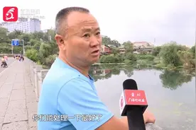 千万别碰！千万别碰！千万别碰！图片