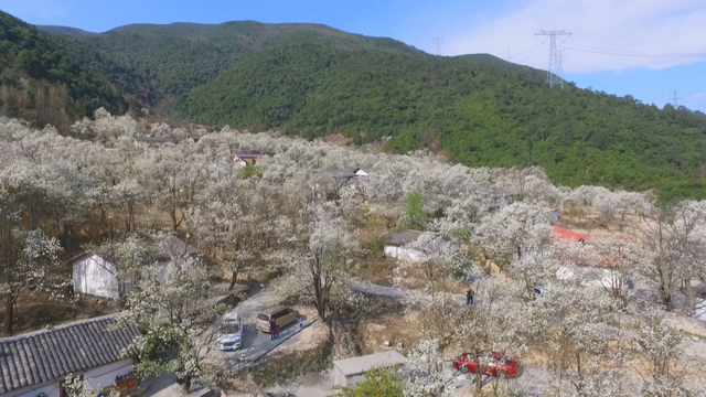 途经西昌！高铁旅游计次票上新