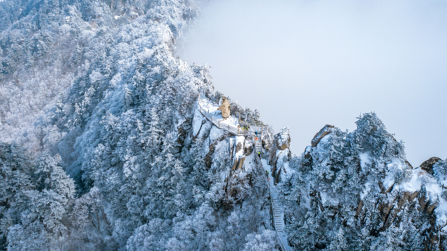 年假清零，总要留几天给洛阳