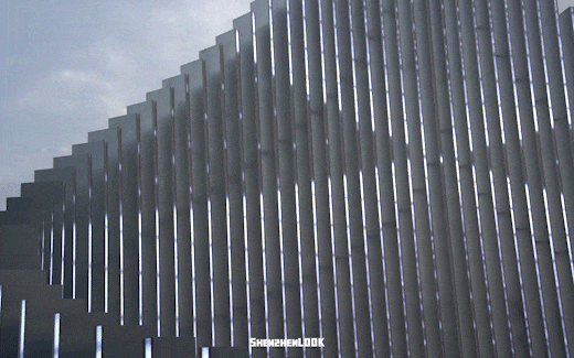 不愧是南山！深圳湾夜景彻底变了，光影艺术季来了