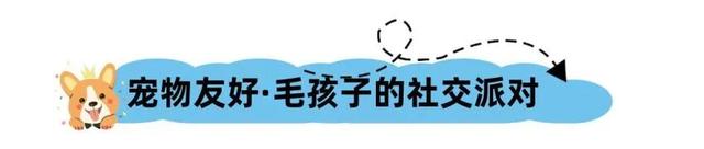 想体验明星户外生活方式？来桂海晴岚打卡《现在就出发》综艺同款山水！