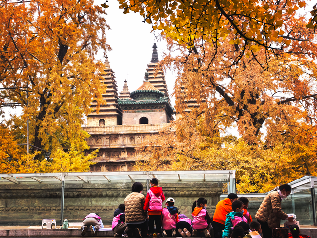 步步皆斑斓，解锁京城秋日诗意