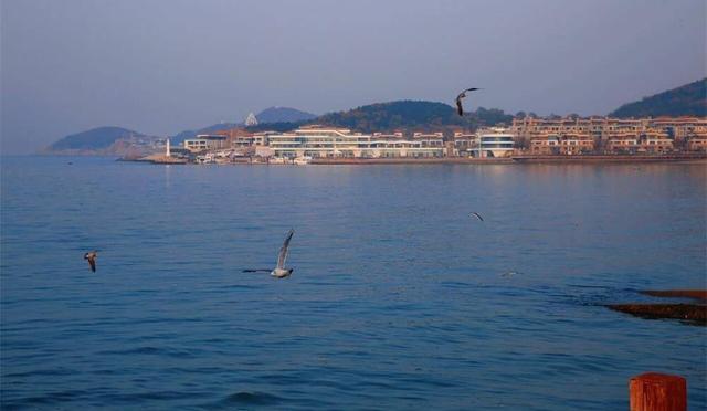 威海市环翠区：冬日“趣”看海 浪漫不打烊