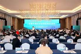 乡村治理有哪些好经验？这场交流会上答案多图片