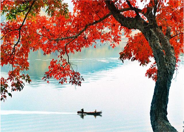 新发路观察｜G334，吉林又一条文旅大通道