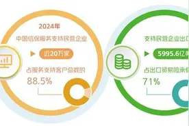保险支持民营经济做强做优图片