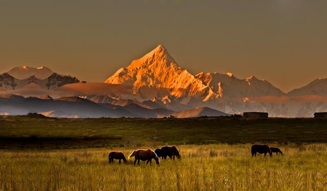 以路为媒 引客入川｜“自驾318”系列推介助推甘孜文旅热度攀升