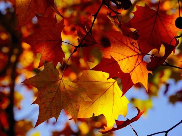 从1902年美到现在！威海这条870米的老街最近又有人扎堆了