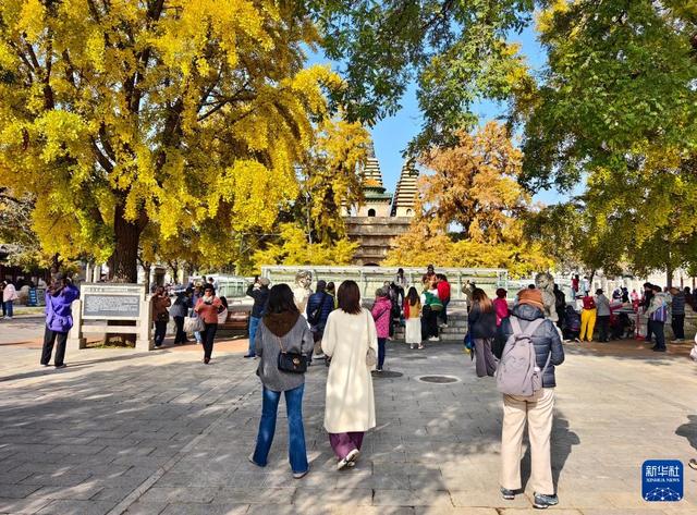 北京：五塔寺秋色浓