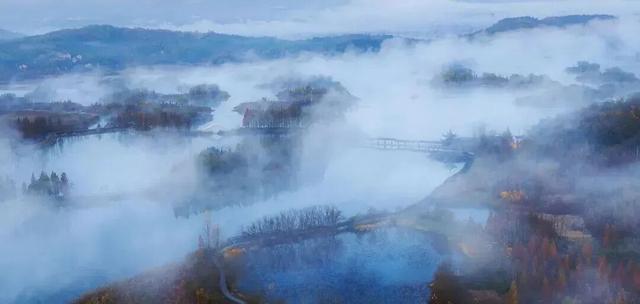 街头大量出现！常州人都已经捡上了