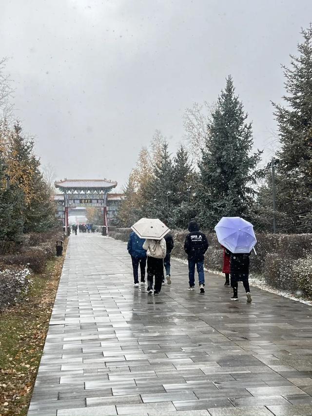 遇见2025年五大连池第一场雪，年年落雪，雪落年年～
