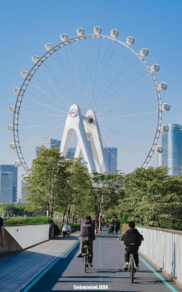 “看牛看海看夜景，深圳骑行路线精选”