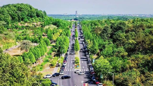 来一波常州清凉图，给眼睛“降降温”！