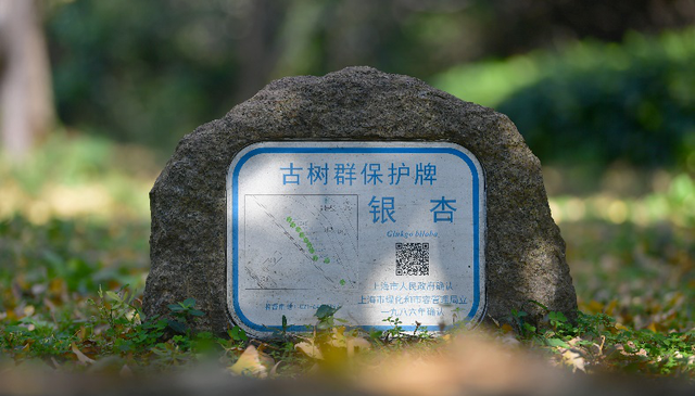 这些出片圣地，人少景美速收藏！