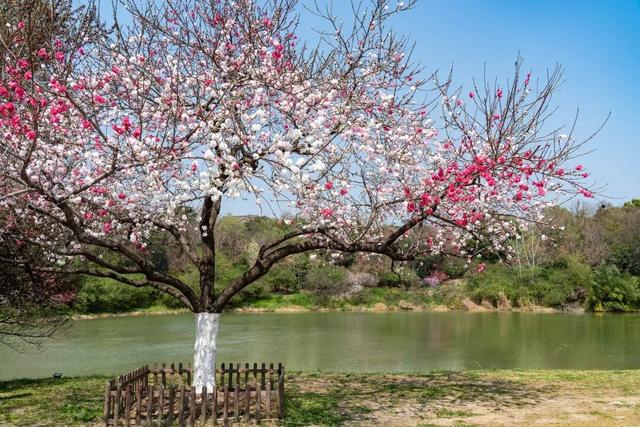 四时天工 扬州如画