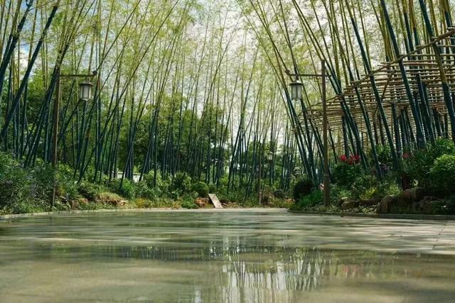 古镇颜值提升，一河一巷皆风景