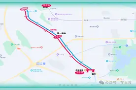 错过等一年！夜龙蹦迪、彩龙巡游、水上嘉年华……端午来顺德，就……图片